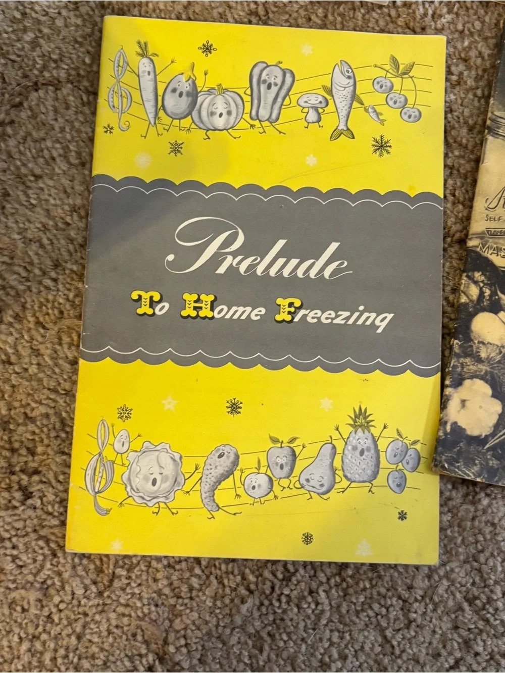 Vintage Cookbooks Pamphlets Guides Scrapbook Junk Journaling Collecting